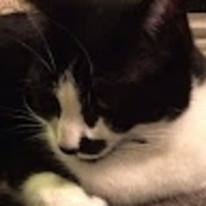 Meet your Posher, Diana